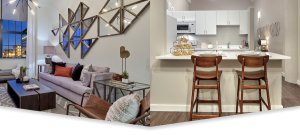 feature-amenities-static-down-arrow